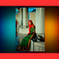 লাল সবুজ শাড়িতে চলুন মেতে উঠি বিজয়ের তাগিদে।