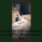 পেট থেকে ২৫ ইঞ্চি দীর্ঘ কুঁচিয়া মাছ অস্ত্রোপচারে জ্যান্ত উ দ্ধার!