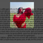 নারীর সুড়ঙ্গ