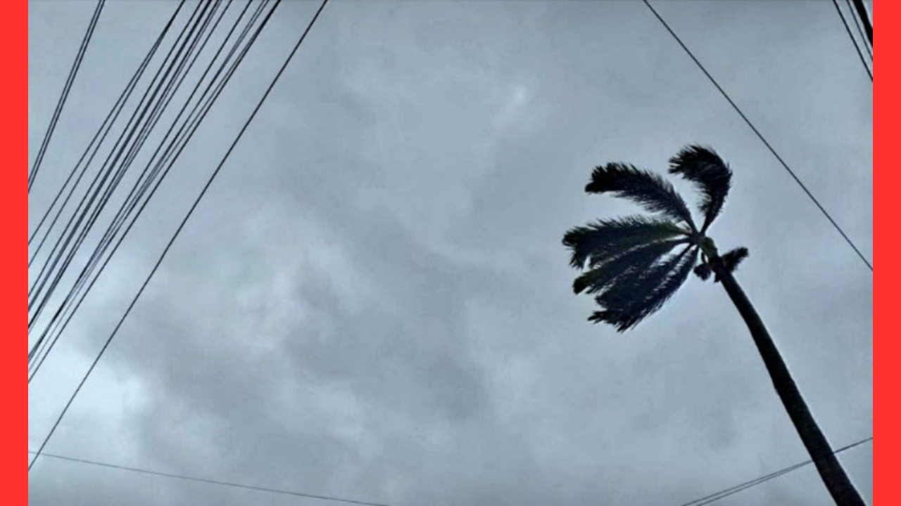 রেমালের প্রভাবে রাজশাহীতে ঝড়বৃষ্টি থাকবে যে কয়দিন