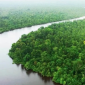 এবারও বুক চিতিয়ে উপকূলকে রক্ষা করল সুন্দরবন
