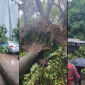 ঢাকায় আগামীকালও ঝড়-বৃষ্টি অব্যাহত থাকবে