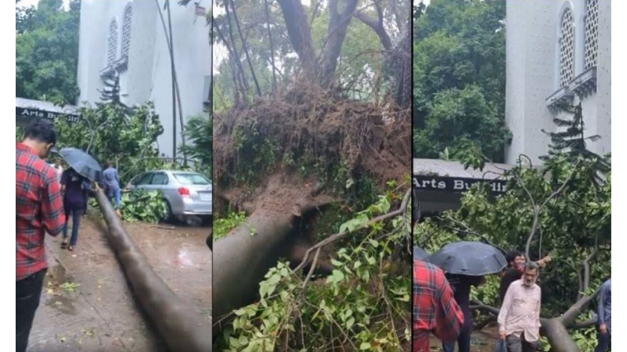 ঢাকায় আগামীকালও ঝড়-বৃষ্টি অব্যাহত থাকবে
